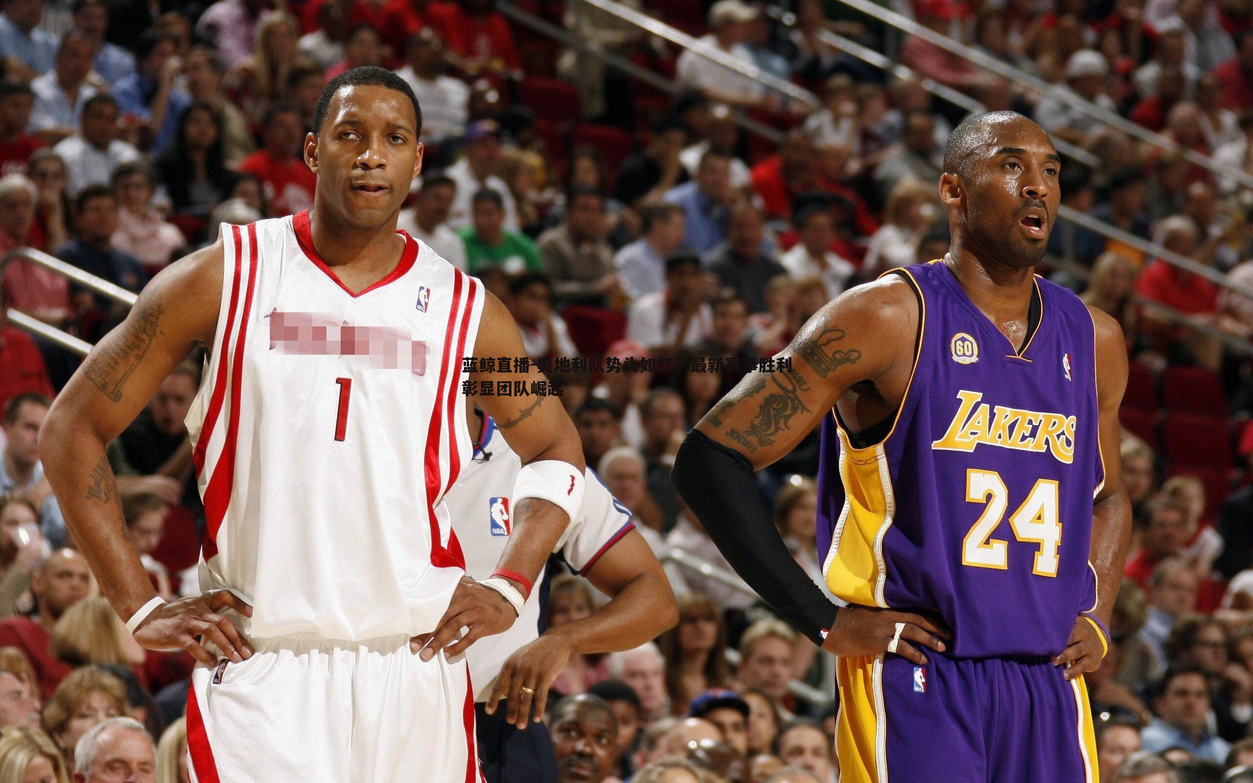 奥地利队势头如虹,最新赛事胜利彰显团队崛起